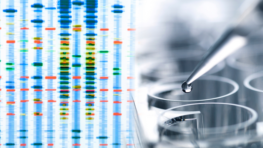Does Direct to Consumer DNA Test Results Impact Your Insurance?